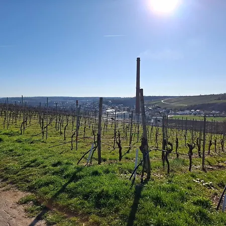 Privatunterkunft Gr Ooms-rent *