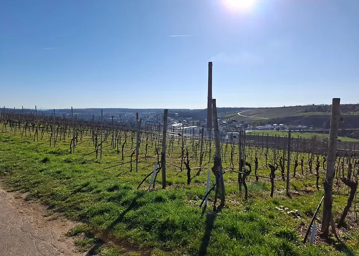 Quarto em Acomodações Particulares Gr Ooms-rent *